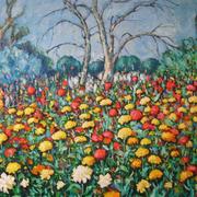 Img_0050__medium__card