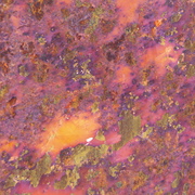 Sh103186_card