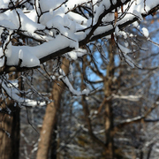 Img_7166a_card