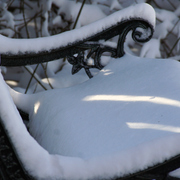 Img_7217a_card