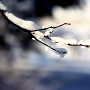 Img_7219a_card