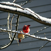 Img_7209a_card