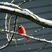 Img_7210a_card