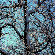 Img_7156a_card