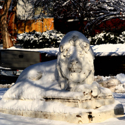 Img_7172a_card