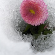 Hpim5573_card