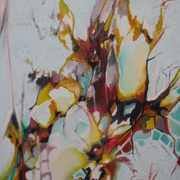 Cadenza_card