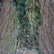 Img_5958_copy_card