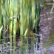Img_5971_copy_card