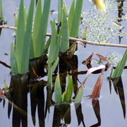 Img_5847_copy_card
