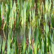 Img_5909_copy_card