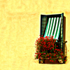 Venice_window_with_flowers_thumb