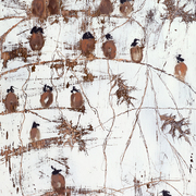 Mariaparenteausparrows_card