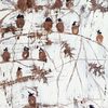 Mariaparenteausparrows_thumb