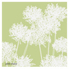 Green-allium-revised-_thumb