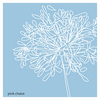 Single-blue-allium-revised_thumb