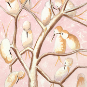 Mariaparenteau1_card