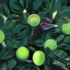 Mariatelesbirdfruit_thumb