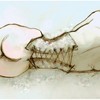 Sweet_dreams_thumb