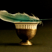 Dsc03592_card