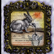 Twenty_three_card