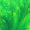 Img_3402__800x600__thumb