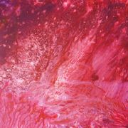 Img_3550__800x600__card