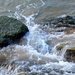 100_1690_copia_square