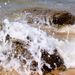 100_5256_copia_square