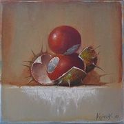 Bild13_card
