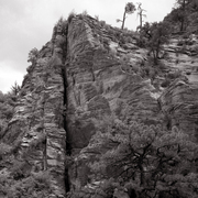 Zion2-post_card