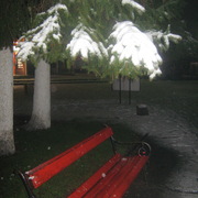 Img_1358_card