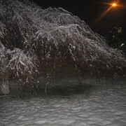 Img_1342_card