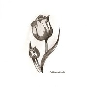 Grtrf_card