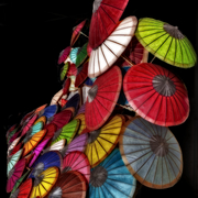 Shield_of_the_myconids_orton_version_card