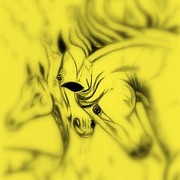 Yhorse_card