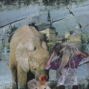 Img_1531_card