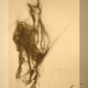 Konik_thumb