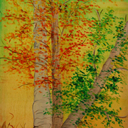 Aspensafrica_card