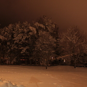 Img_2008_card