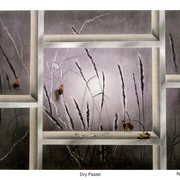 Nature_card