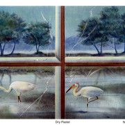 Nature_ii_card