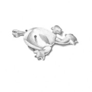 Keyring_frog_card