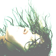 Devid_card