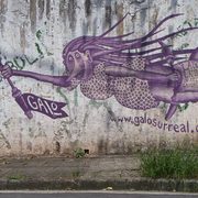 Graf07_card