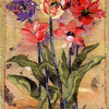 Prints19_thumb