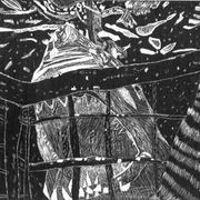 Shark_-_scratchboard_card