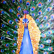 Peacock1_card