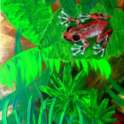 Coqui_frog_resized_card