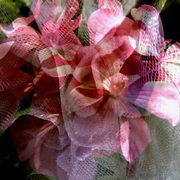 Flower_net_4_card